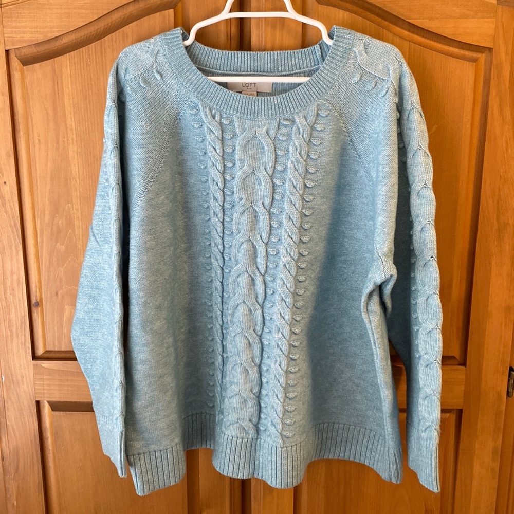 GORGEOUS Loft Sweater size 24-26